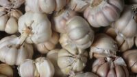 Bawang Merah dan Telur Ayam Ras Picu Deflasi Agustus 2024