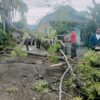 pohon-bertumbangan-akibat-cuaca-ekstrem-di-padang,-timpa-rumah-dan-hambat-jalan