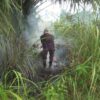 kebakaran-hutan-dan-lahan-melanda-daerah-di-tiga-provinsi