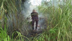 BPBD Sumbar Ajukan Modifikasi Cuaca Atasi Karhutla ke BNPB