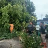 padang-diterjang-angin-kencang,-bpbd-evakuasi-pohon-tumbang-di-korong-gadang
