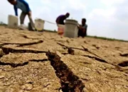 Musim Kemarau, BMKG Pastikan Sumbar Masih dalam Batas Aman