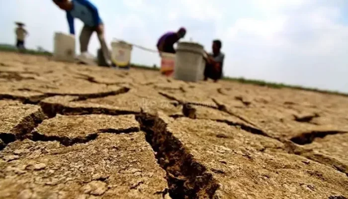 Musim Kemarau, BMKG Pastikan Sumbar Masih dalam Batas Aman