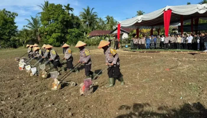 Polda dan Pemprov Sumbar Pacu Produksi Jagung, Jamin Ketahanan Pangan