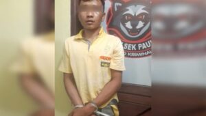 Polisi Bekuk Pencuri Spesialis Isi Gardu PLN di Padang