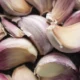 apakah-bawang-putih-ampuh-atasi-jerawat?