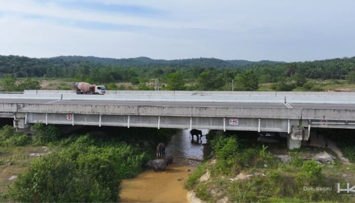 Hutama Karya Bangun Underpass, Lestarikan Gajah Sumatera di Tol