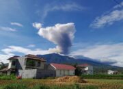 Marapi Erupsi, Hujan Abu Cemari Lahan Pertanian Bukik Batabuah