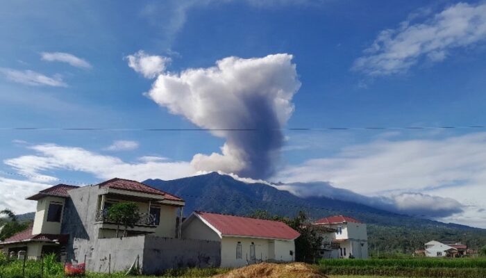 Marapi Erupsi, Hujan Abu Cemari Lahan Pertanian Bukik Batabuah