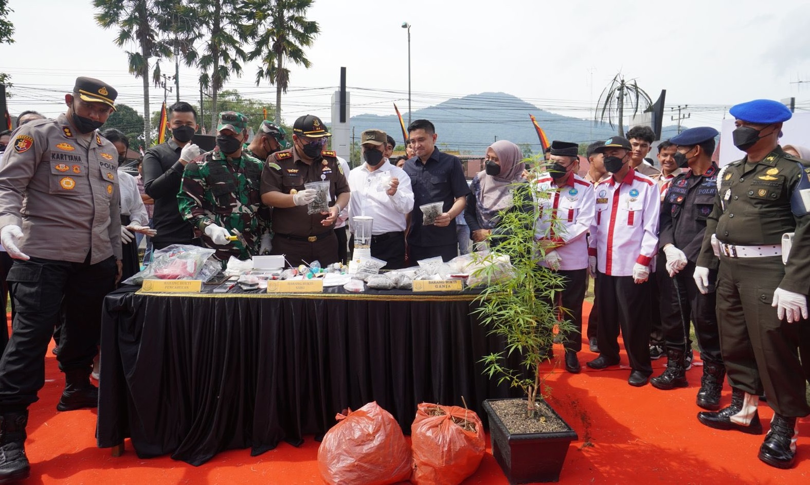 kejari-padangpanjang-musnahkan-2-kg-ganja-dan-41,06-gram-sabu