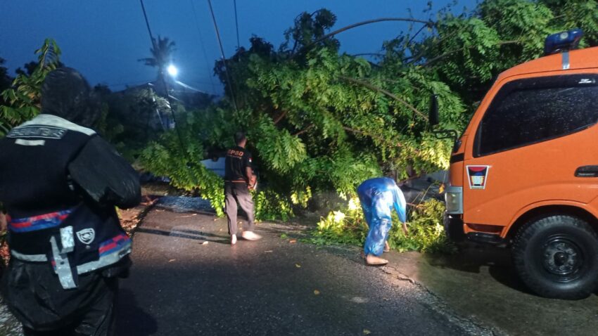 diterpa-hujan-dan-angin-kencang,-pohon-tumbang-di-padang-timpa-rumah-warga