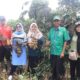 nagari-kurnia-selatan-dharmasraya-jaga-ketahanan-pangan
