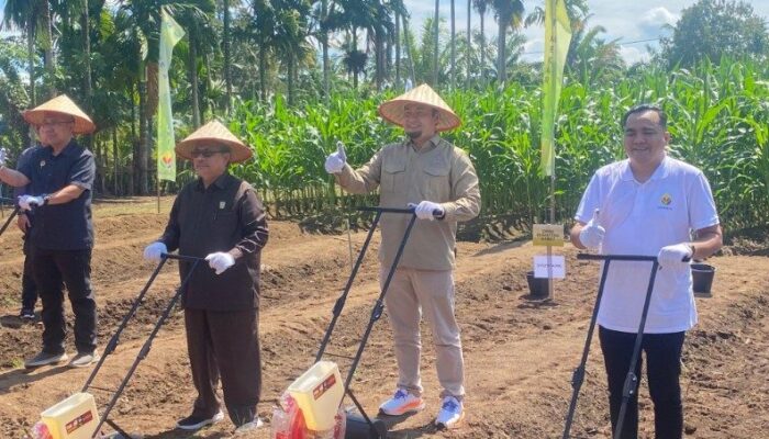 Hari Tani Nasional: Momentum Hilirisasi Komoditas Pertanian Sumbar