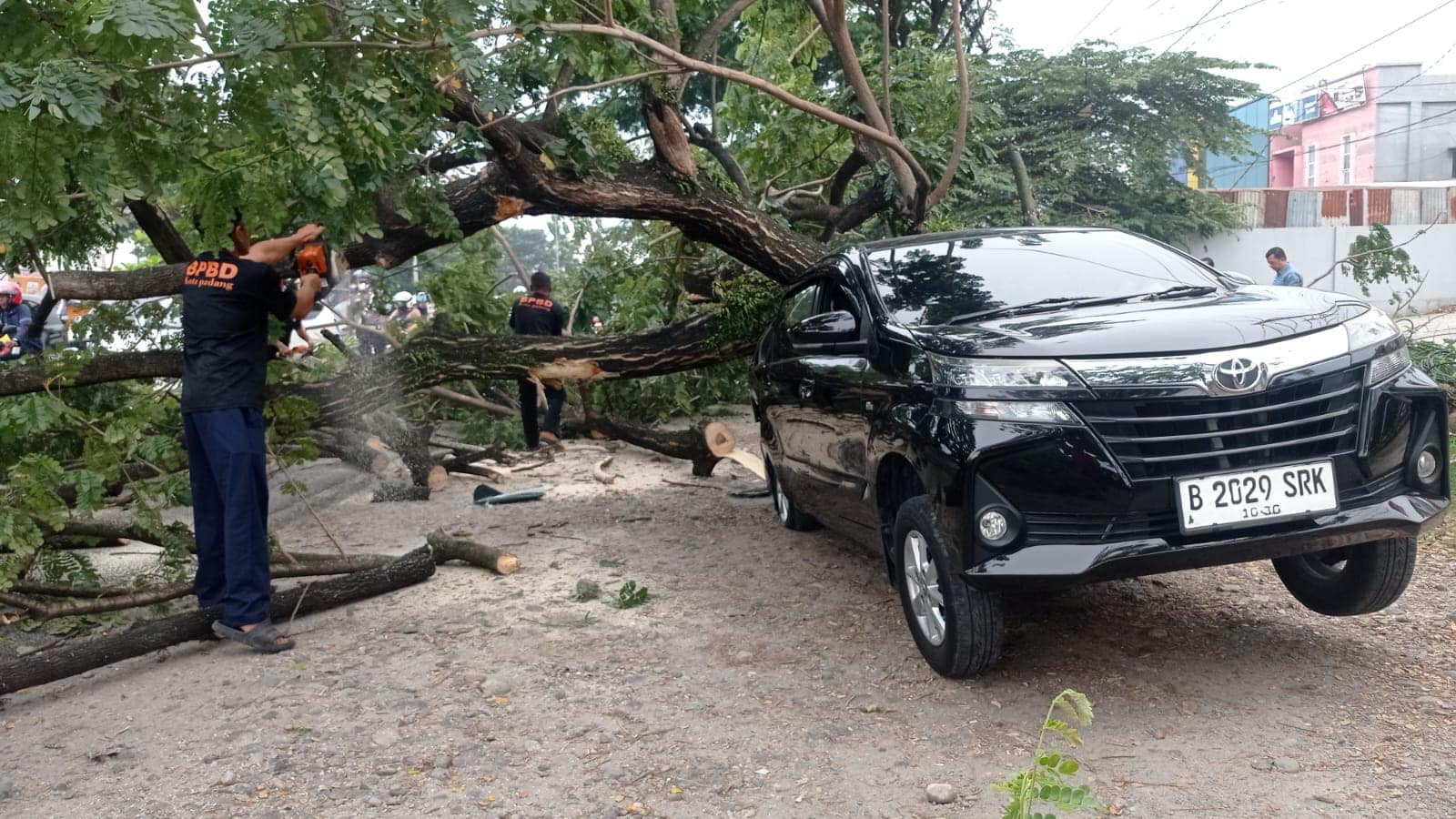 satu-unit-avanza-ringsek-tertimpa-pohon-saat-turuni-penumpang-di-bypass-depan-sph