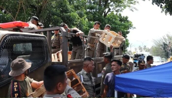 Satpol PP Padang Tertibkan Lapak PKL Langgar Aturan Kota
