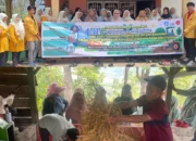dosen-pertanian-ummy-latih-kelompok-tani-annisa-manfaatkan-limbah-jerami-dan-kotoran-ternak