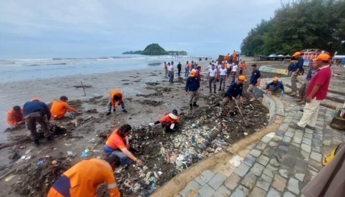 TNI AL dan Pemko Padang Bersihkan Pantai Air Manis, Tanam Ratusan Kelapa Hibrida