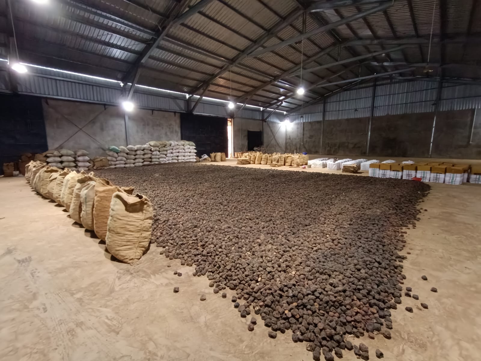 sumbar-siap-kembali-kirim-gambir-ke-india