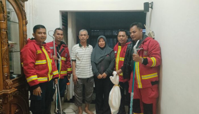 Musang Resahkan Warga Padang, Damkar Sigap Evakuasi