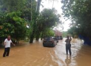 Banjir Kembali Rendam Tarusan, Lumpuhkan Akses Jalan Nasional