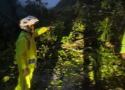 Longsor Tutup Jalur Padang-Bukittinggi, Lalu Lintas Lumpuh Total