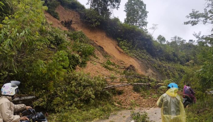 AMSI Desak Pemerintah Bergerak Cepat Tangani Korban Bencana Sumatra