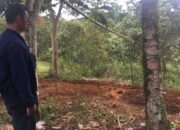 Warga Gali Kuburan Massal, Makamkan Korban Galodo di Subarang Aia