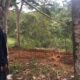warga-subarang-aia-agam-gali-empat-kuburan-massal-untuk-pemakaman-korban-galodo