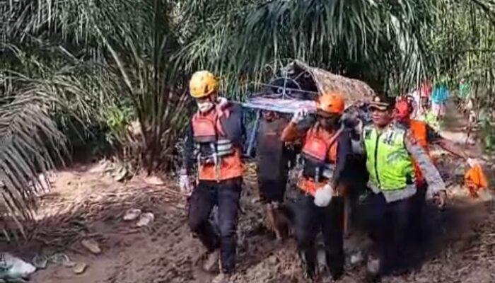 Warga Hanyut di Batang Pasaman Ditemukan, Tim SAR Evakuasi