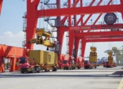 Arus Peti Kemas Melonjak, Pelindo Terminal Petikemas Yakin Target 2025 Terlampaui
