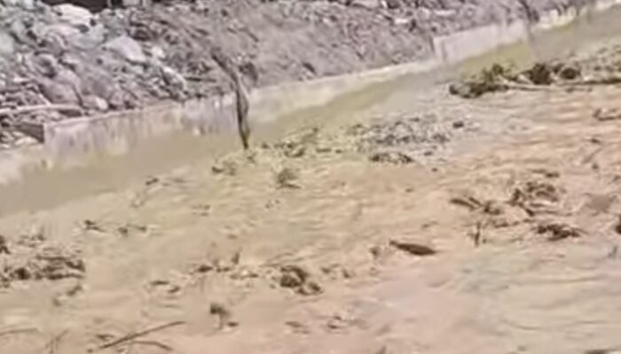 Warga Maninjau Rekam Banjir Lumpur Dadakan saat Cuaca Panas