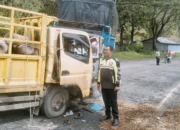 Diduga Mengantuk, Dua Truk Colt Diesel Tabrakan di Solok