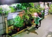 Influencer DJ Donny Diteror, Rumah Dilempar Bom Molotov