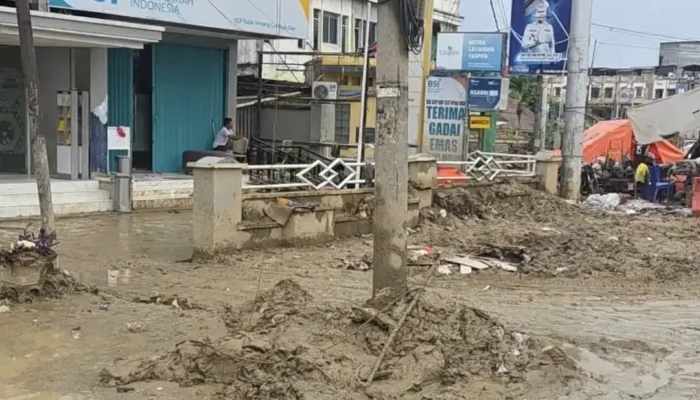 Bangkit dari Lumpur: Tamiang Berjuang Pulihkan Peradaban Melayu yang Hilang
