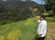 Bupati Agam Pantau Lokasi, Mitigasi Risiko Banjir Bandang Matur