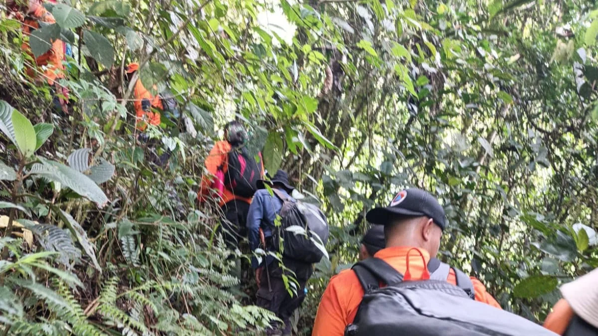 pergi-memikat-burung,-dua-pemuda-sungai-nanam-solok-dilaporkan-hilang