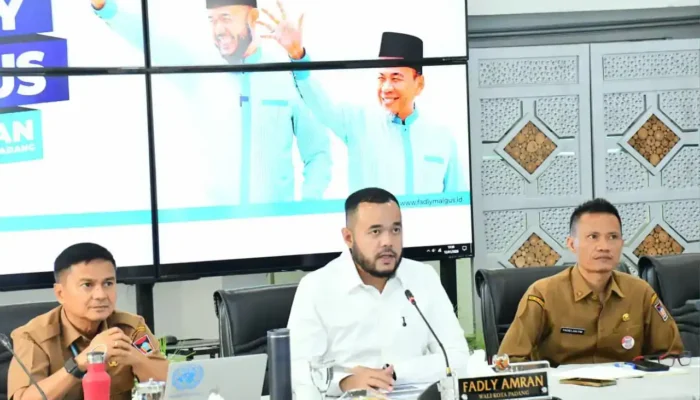 Kerja Sama Sister City, Wali Kota Padang Gandeng Jerman Bangun Kota Berkelanjutan
