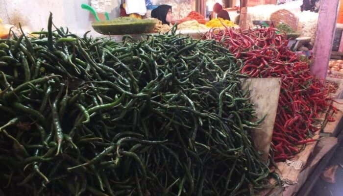 Disdag Padang Pantau Fluktuasi Harga Cabai di Pasar