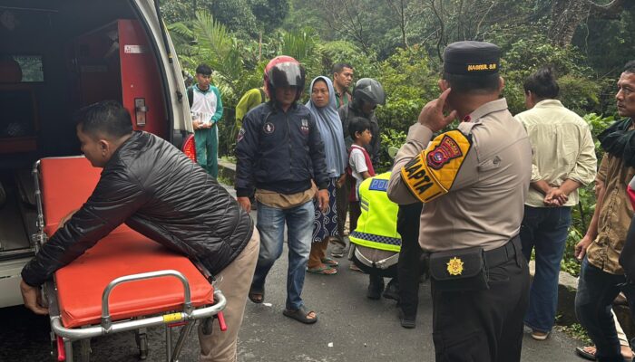 Tim Gabungan Evakuasi Tujuh Korban Mobil Terperosok Jurang di Lembah Anai