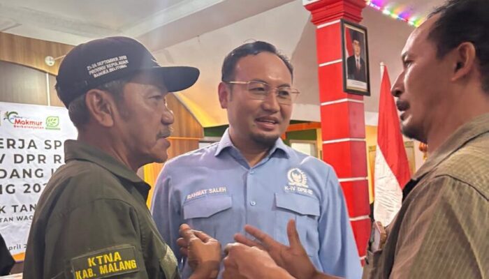 Rahmat Saleh: Swasembada Bawang Putih 2029 Bergantung pada Bibit dan Sektor Hulu