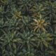High-angle shot of lush green palm trees in a dense forest, perfect for nature themes.