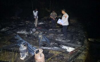 Si Jago Merah Hanguskan Rumah Warga di Sarilamak, Kerugian Capai Rp100 Juta