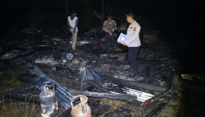 Si Jago Merah Hanguskan Rumah Warga di Sarilamak, Kerugian Capai Rp100 Juta