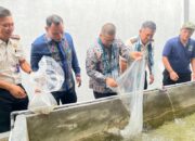 sumbangan-dari-mardiansyah,-skom,-kakanwil-ditjenpas-sumbar-tebar-5.000-bibit-ikan-di-rupajang