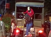sisir-sejumlah-kafe-karaoke-di-padang,-14-pemandu-lagu-terjaring-razia-satpol-pp