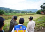 pemkab-tanah-datar-dukung-rencana-pembangunan-sekolah-rakyat-di-tanjung-alam