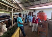 Pemkab Solok Pastikan Stok dan Harga Hewan Kurban Stabil