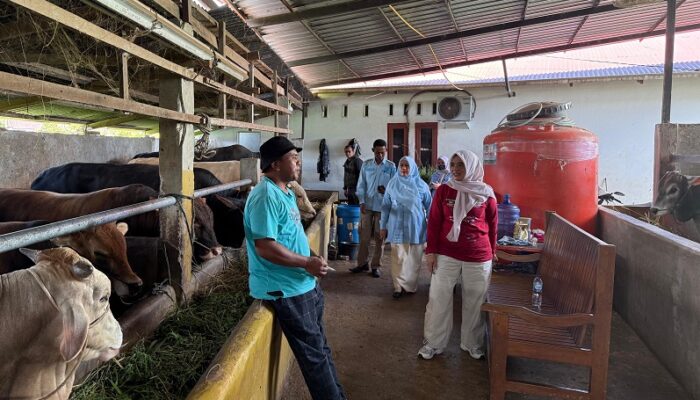 Pemkab Solok Pastikan Stok dan Harga Hewan Kurban Stabil