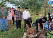 apresiasi-kurban-bank-nagari,-ketua-dprd-sumbar:-bukti-nyata-nilai-keikhlasan-telah-tertanam