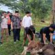apresiasi-kurban-bank-nagari,-ketua-dprd-sumbar:-bukti-nyata-nilai-keikhlasan-telah-tertanam